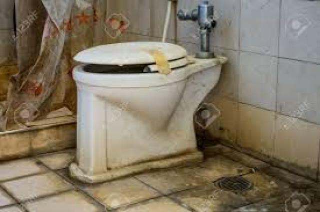 Would you clean this Toilet thoroughly with a toothbrush in exchange for a new iPhone X