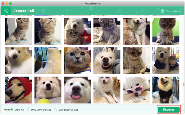 How to recover deleted pictures on iPhone - 1