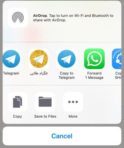 I have a problem with iPHONE. I want to forward a file from an app like Telegram to another app not a famous one