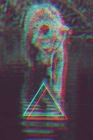 Where to get these types of filters - 1