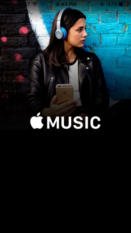 My music isn t working iPhone 6 Every time I go to the app this picture comes up