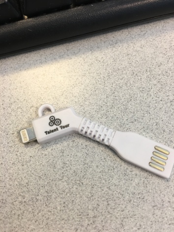 What this iphone adapter is for