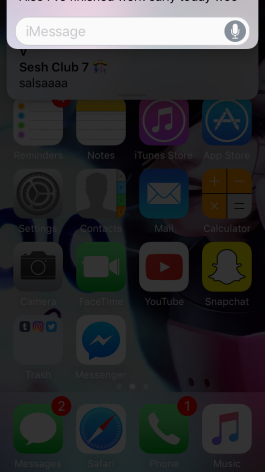 My iphones glitching - help