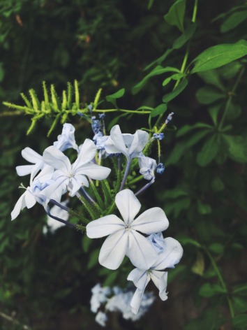 How to edit pictures like popular Instagram users - 1