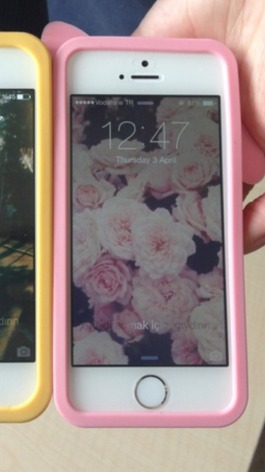 I really want to set this as my iPhone wallpaper. Where can I Find this photo on the Internet