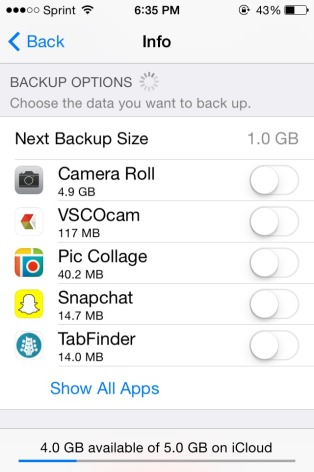 Can I update my iPhone without backing up my camera roll